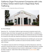 Fetal tissue illegal trafficking