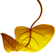 Pumpkinfairykitpudnelve