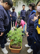 d205bb7a-23a1-4108-b0f1-640a67fcaef2