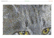 1442498-crosti-ru-color-15