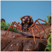 60138390-1739110466191545-7228282633199812608-n