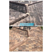 pressure washing orlando FL (10)