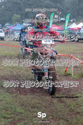 IMG-0169