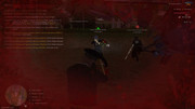 IMG-4584