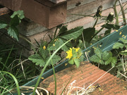 76B77698-C7D6-4E1B-AF7B-11CE5E94A231