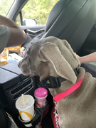 5CD7A768-B11A-468A-B727-3F3BF16A6EBB