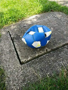 slika