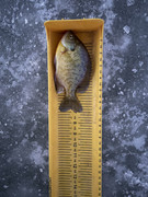 [Image: IMG-5148.jpg]