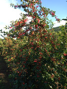 IMG_20210614_182151028