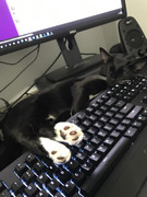 90FED1AD-0EF2-4FD3-8E17-1EE0CEFFFCB7