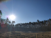 IMG_20220309_085204_1