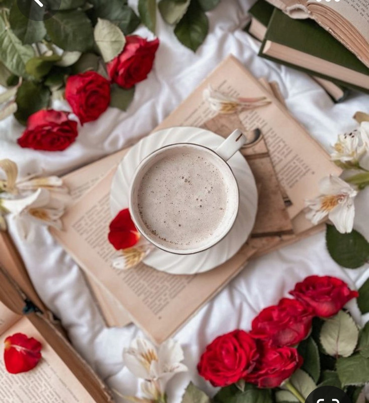 Screenshot_20230426_220422_Pinterest