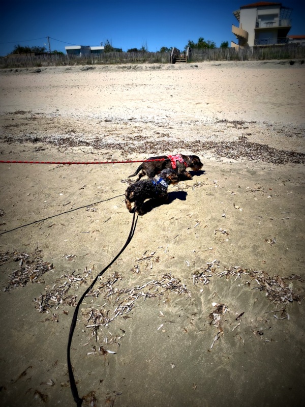 [Image: IMG-2881.jpg]