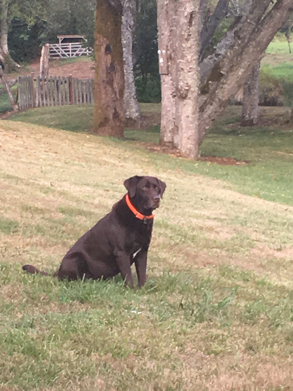 F303038B-6C03-4F9B-8145-A6386A7A66D8