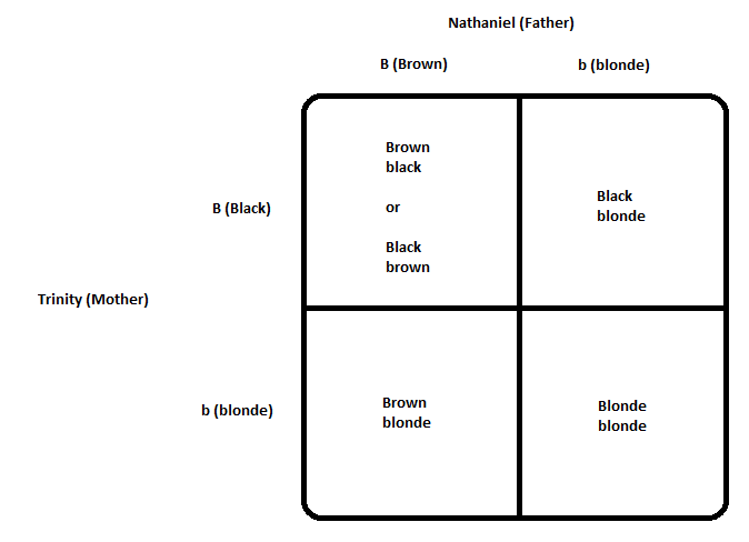 Nathaniel-and-Trinity-Hair-Color-Genotypes3.png