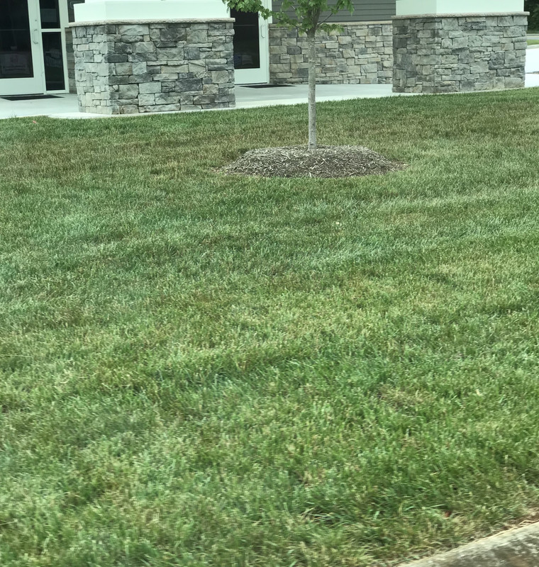 08CEF58D-30E7-4CFB-A0F1-EDC6658A5439