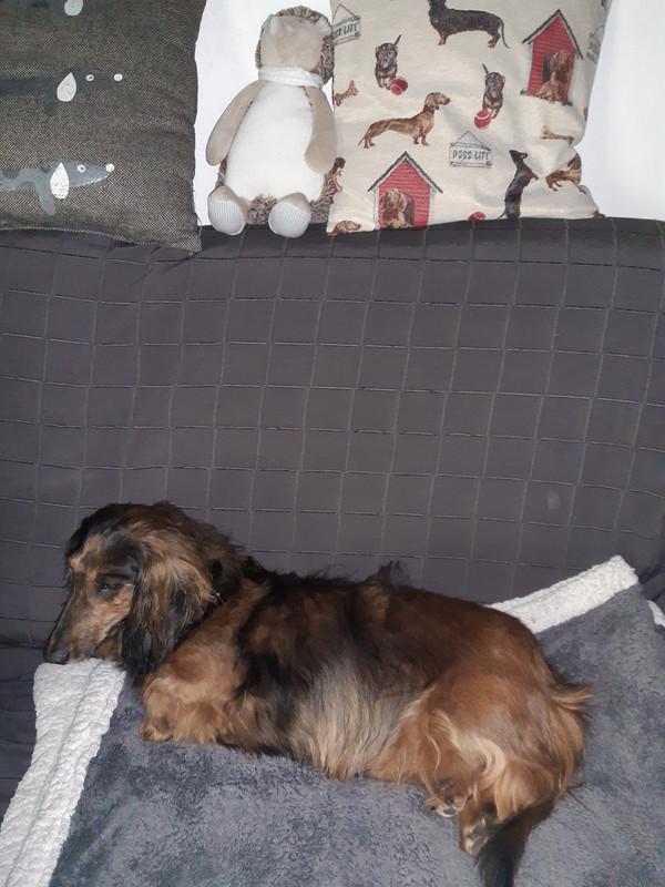 [Image: 20220426-170650.jpg]