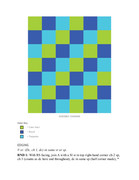 10-Granny-Squares-30-Blankets-36