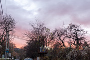 IMG-2362