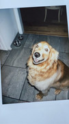 IMG-7293