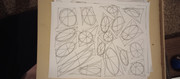 IMG-20231122-191038387