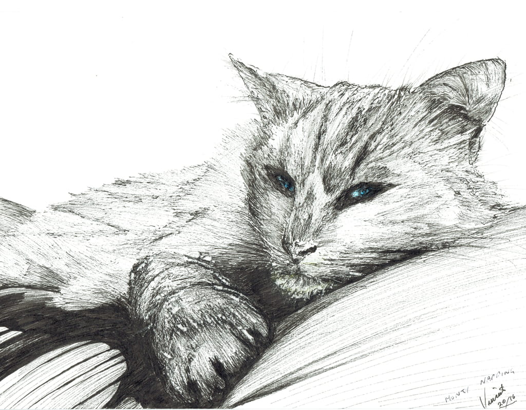 Vincent-Alexander-Booth-Montynapping-2016-ink-on-paper-Meister-Drucke-391085