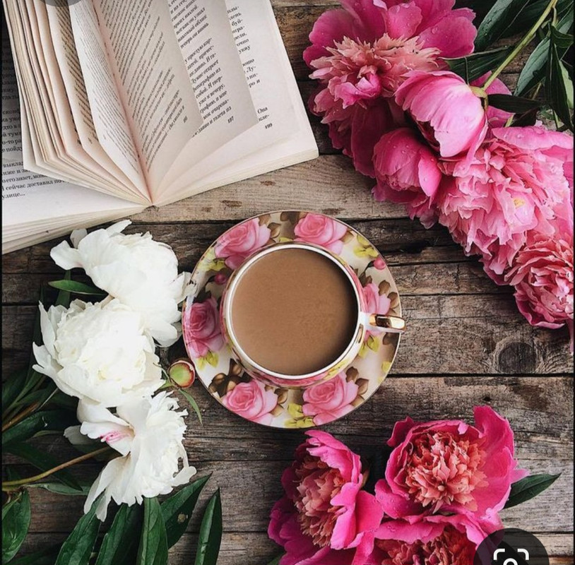 Screenshot_20230322_002638_Pinterest