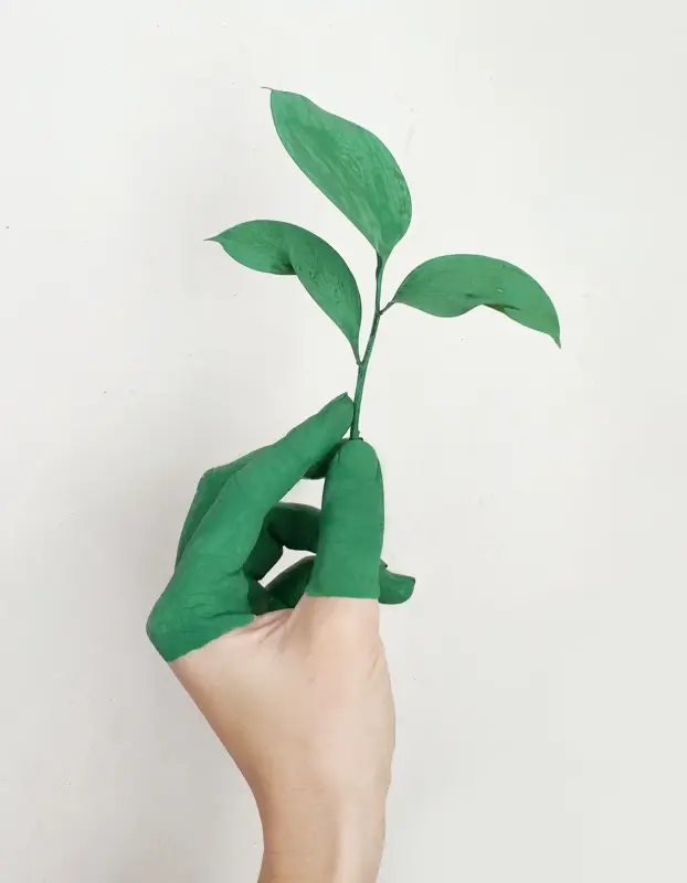 hand holding a green plant