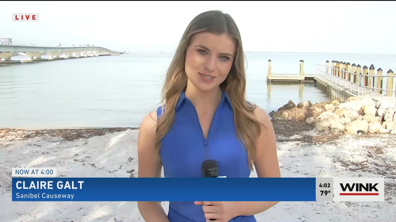 01.05 - 20.00.00 - WINK News at 3pm  ᴺᵉʷ..ts_snapshot_01.09.18.257