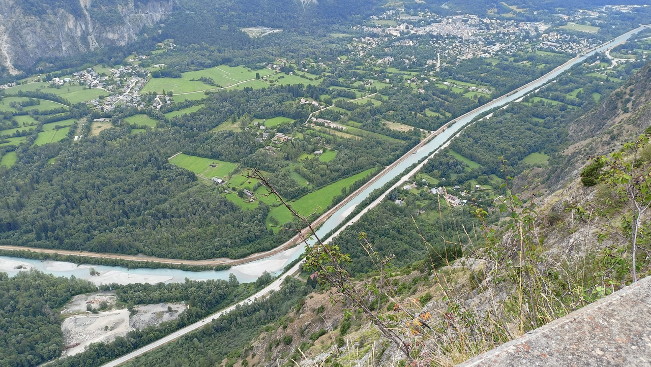 IMG20250726134408 (Large)