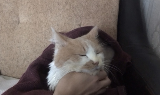 28C50FC7-EF23-4AF1-9C76-97C121F61848