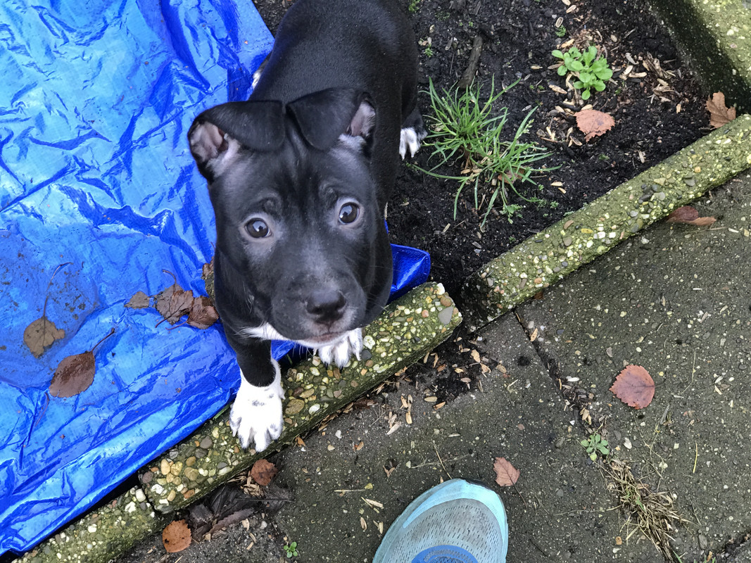 1DAD7011-4EB1-40D0-9FE8-F2B6C1C64164