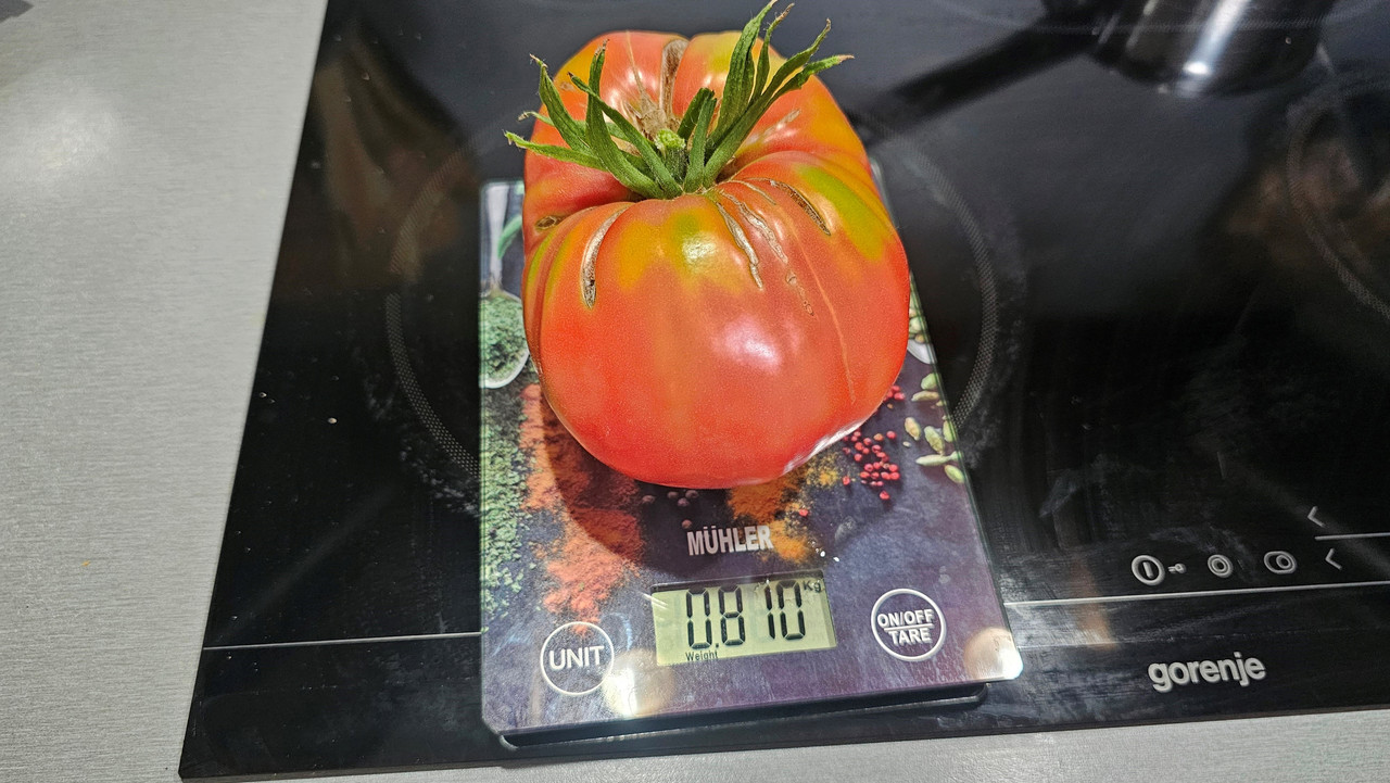 20240630_125719