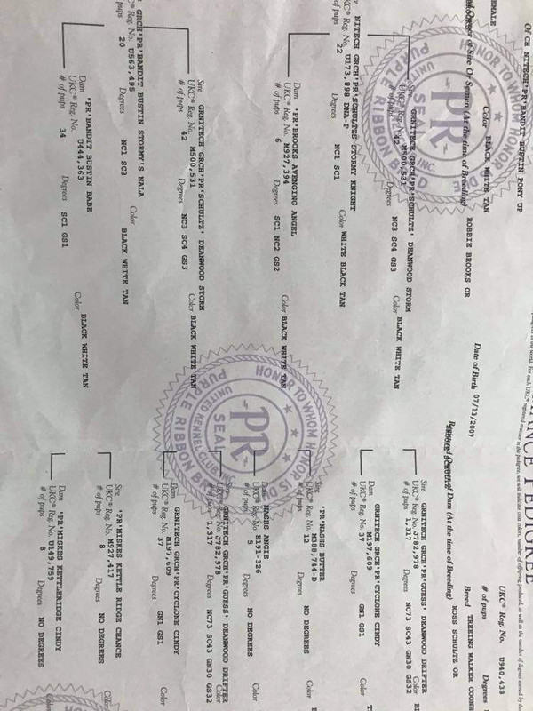 received_598667444759466