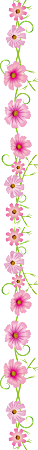 https://i.postimg.cc/150P1kS8/image.png