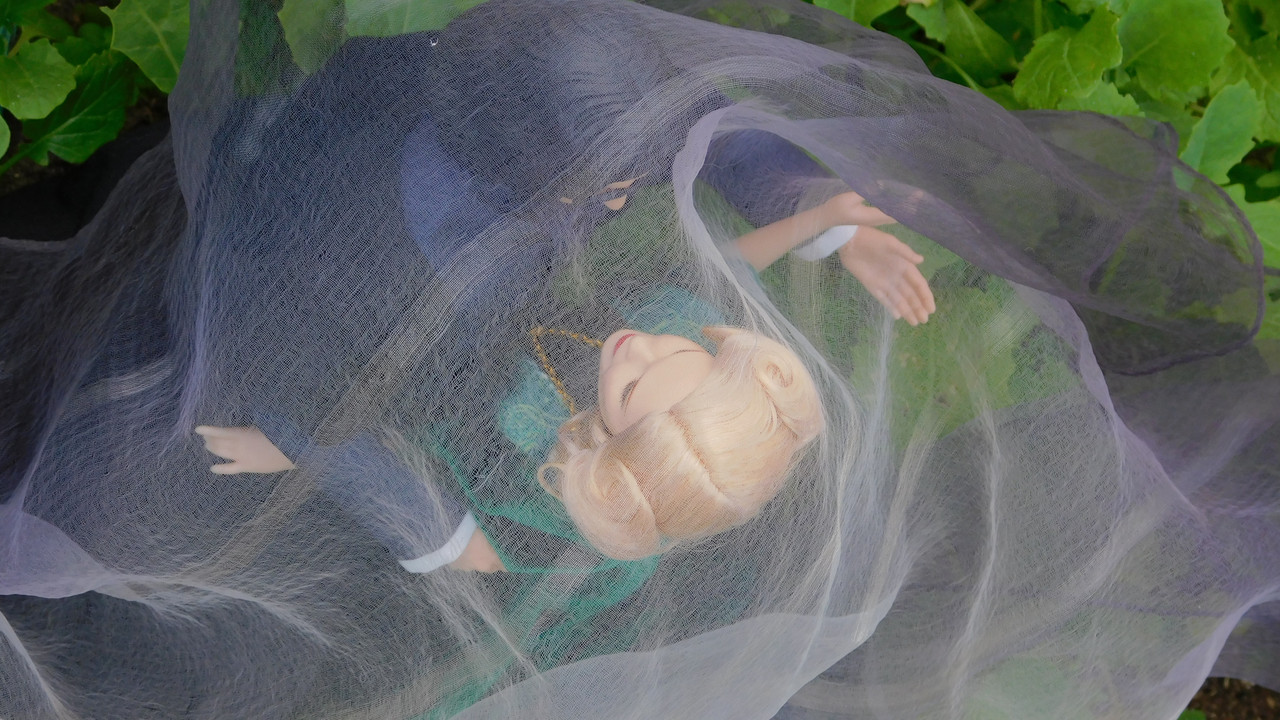 Дачное и  к Хелл сентябрь 2023 097