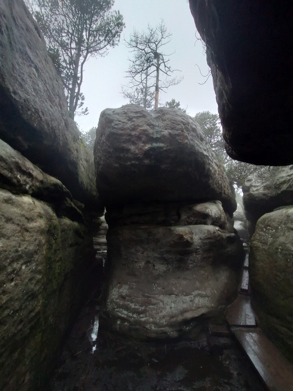 027 - IMG20210805143911