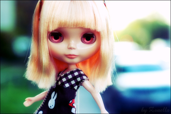 2481236453-f9b532bd7a-z