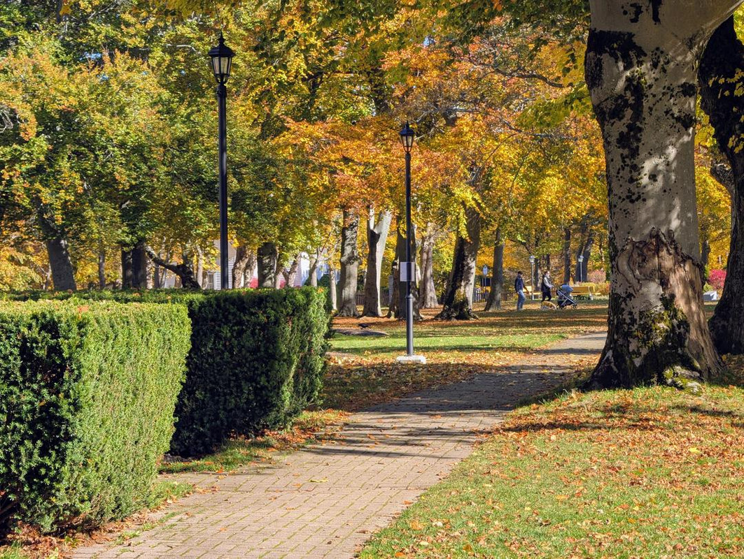 PXL 20251026 143450099 MP 2