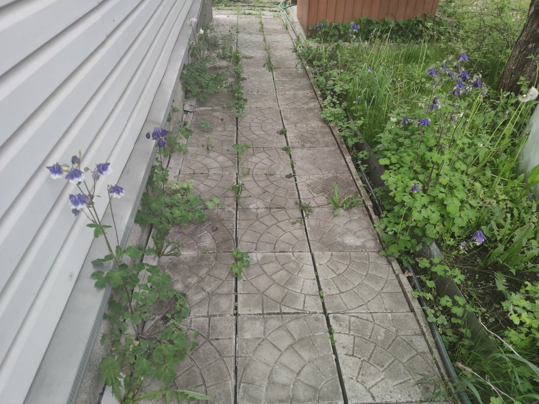 IMG-20220606-175316.jpg