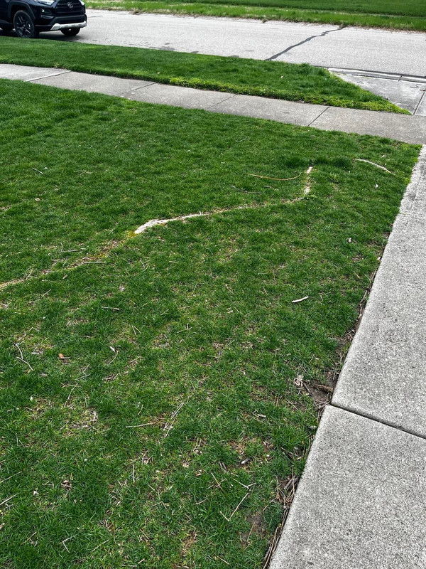 277688525_391904206128248_2388670740271732324_n