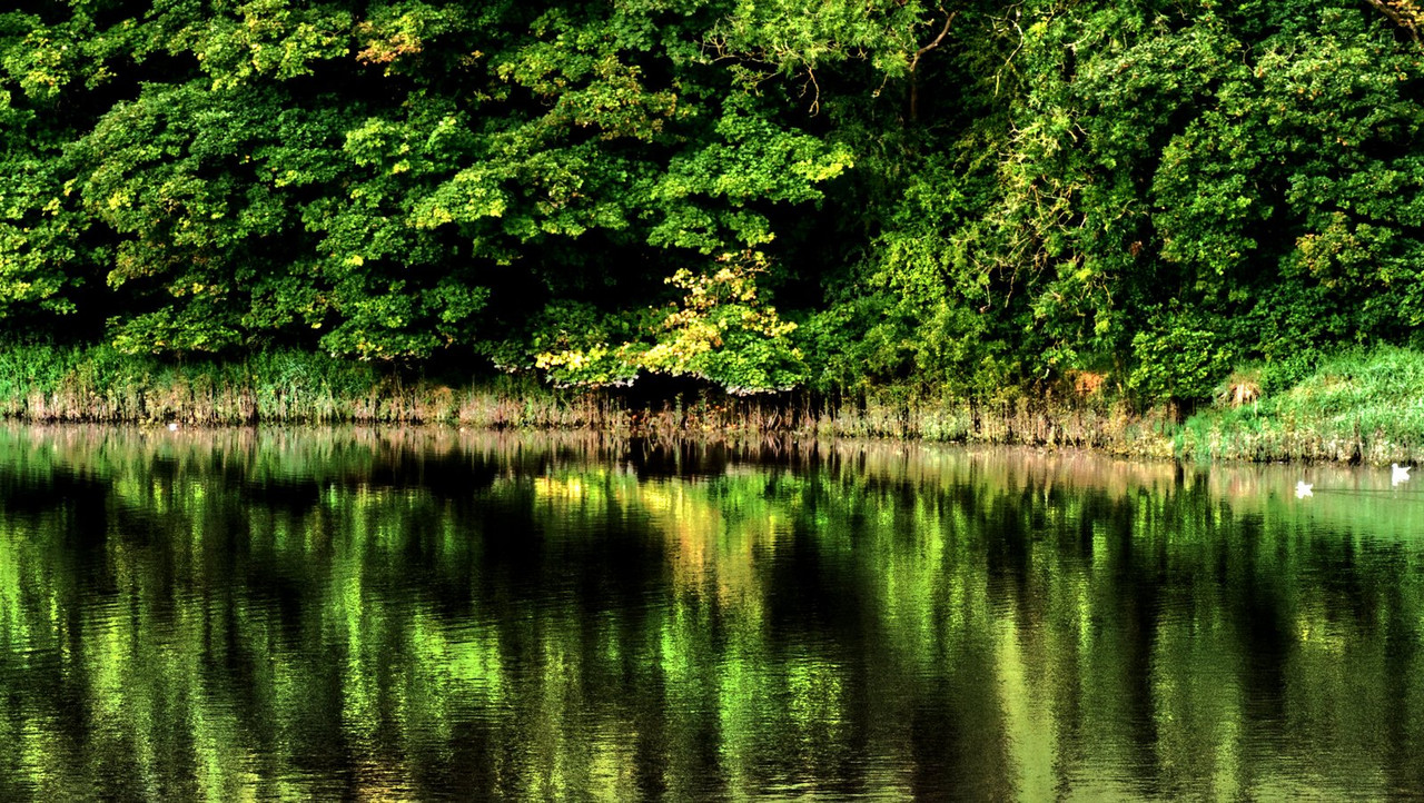 green-reflection-river.jpg
