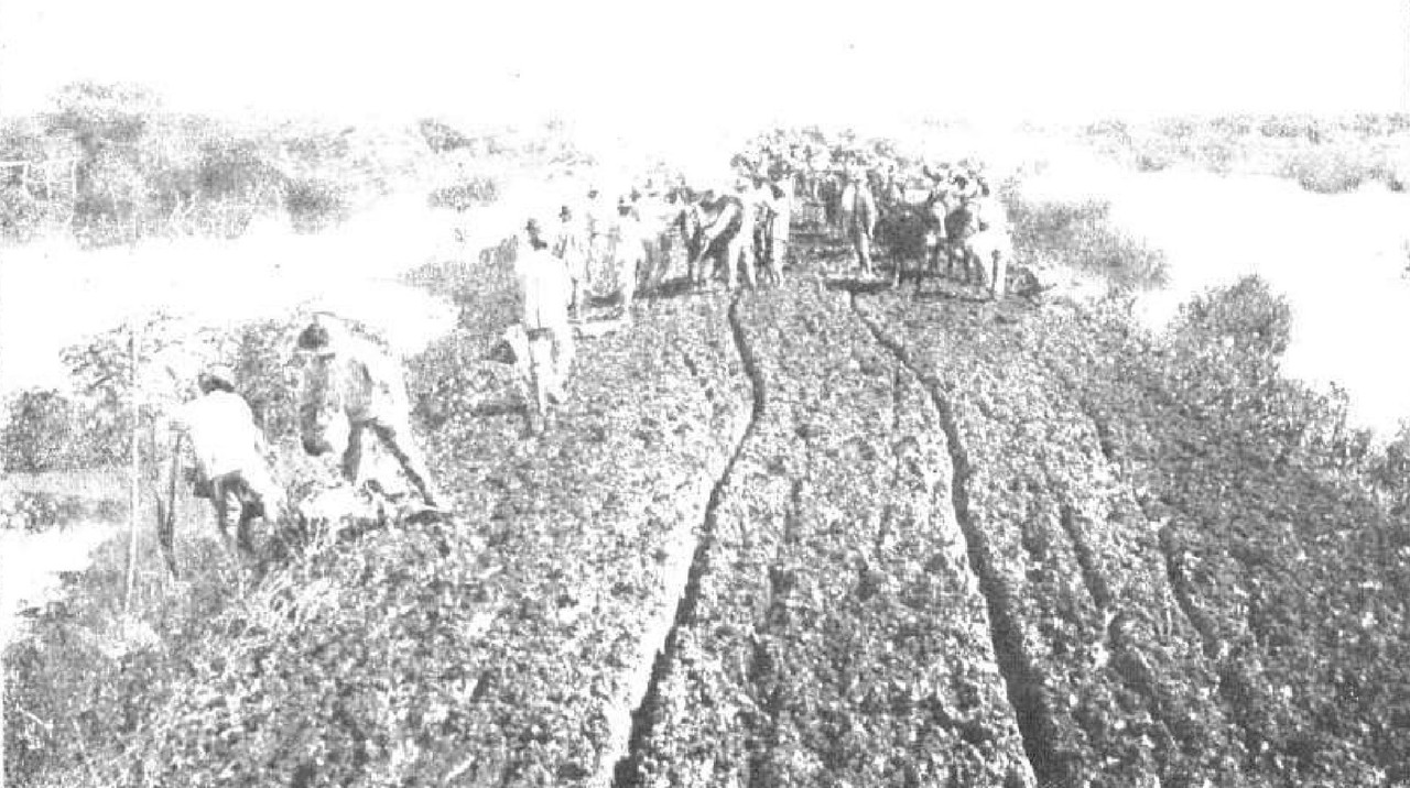 Imprimir_p01(26)-crop4-crop