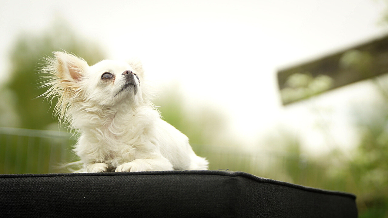 Lumii_20210520_155453917