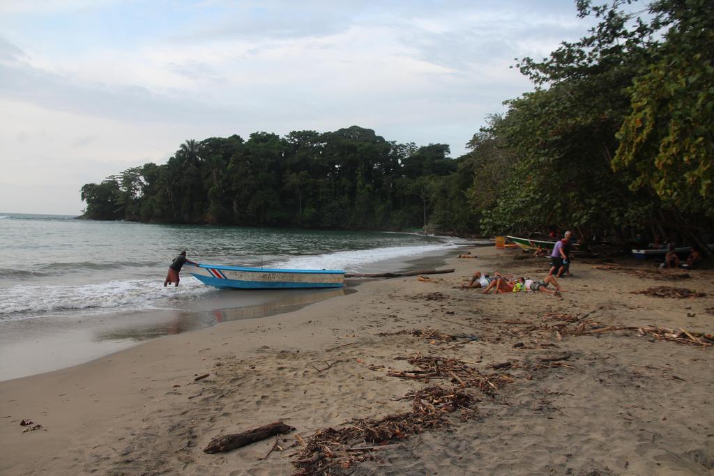 DIA 4: PRIMER DÍA EN PUERTO VIEJO - DE TORTUGAS Y PEREZOSOS. COSTA RICA 2019 (23)