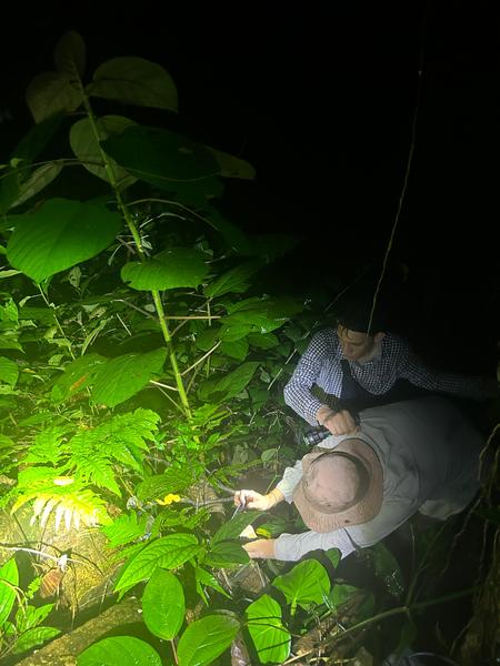 El equipo durante el trabajo de campo