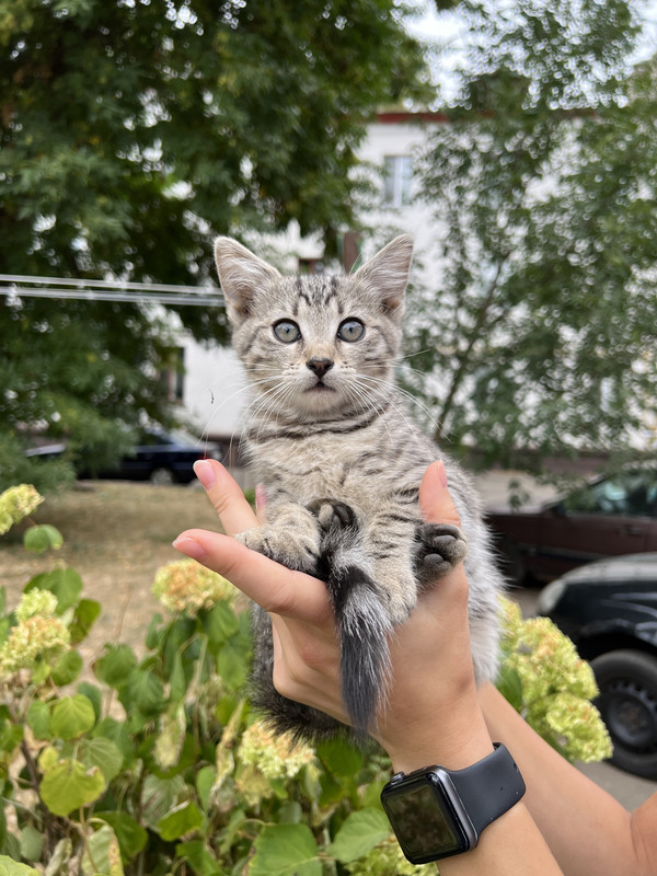 F5178861-43C4-49B3-9E72-9E3DB6255186