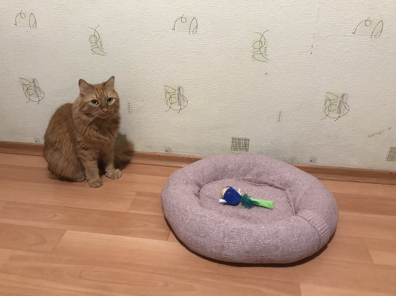 изображение viber 2026 01 05 20 58 29 859