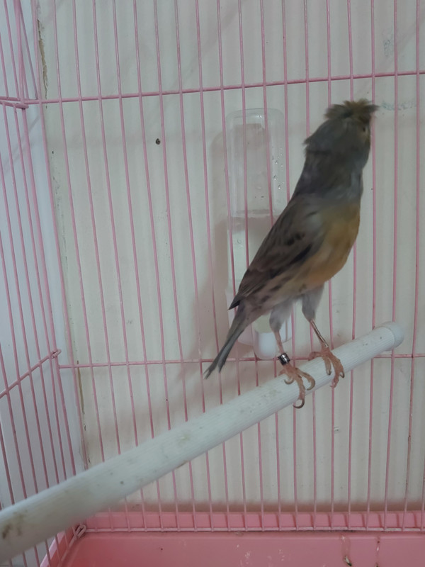 ٢٠٢١٠١١٣_١٧٤٥١٠