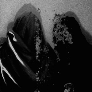 Re: Fluisteraars (NLD) / Post-Black Metal